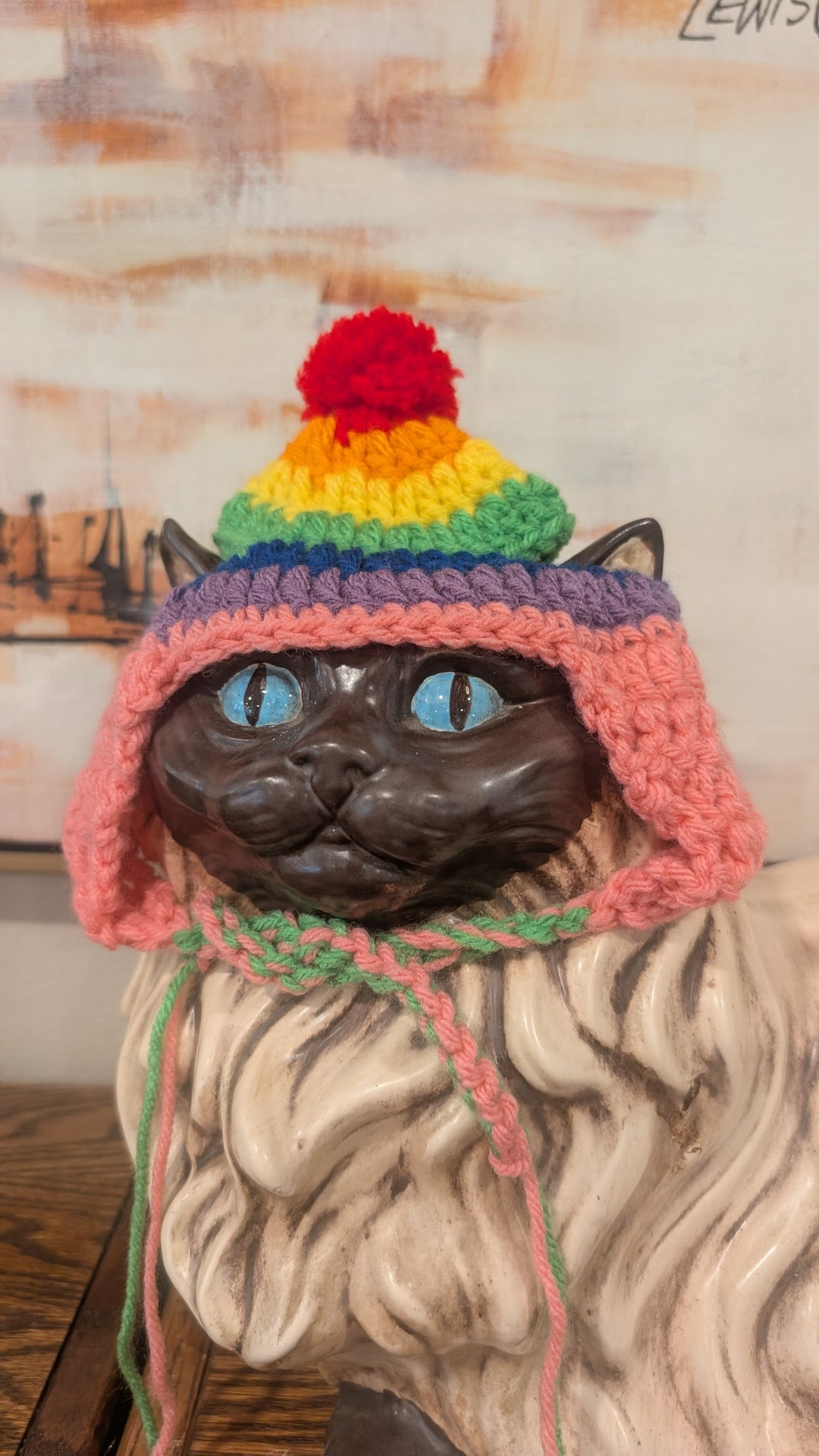 Cat Hat - Rainbow
