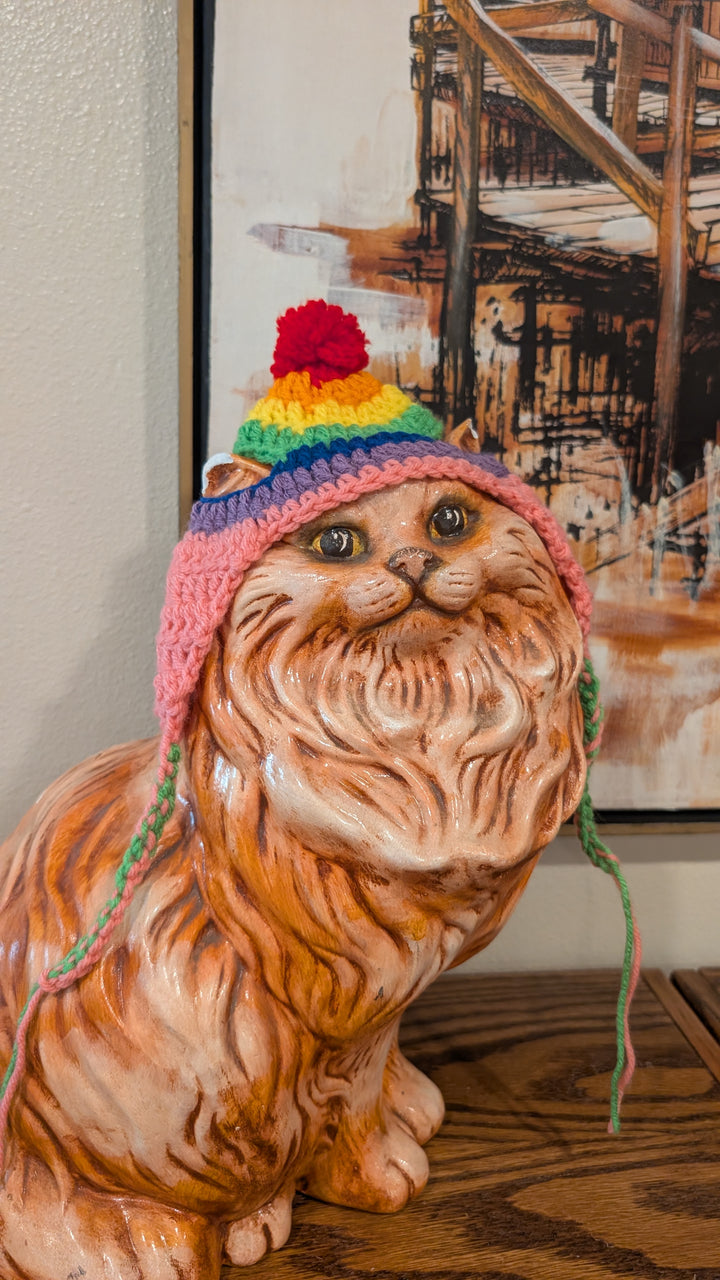Cat Hat - Rainbow